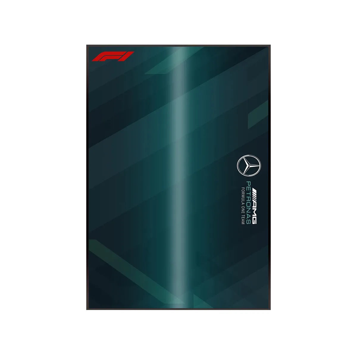 Wanddisplayrahmen kompatibel mit CaDA KICK Sauber F1 C44