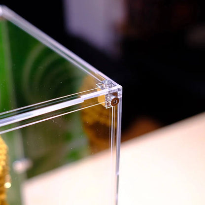 Acrylic Display Case for Lego® Fifa World Cup™ Official Trophy 43020 | Champions Edition