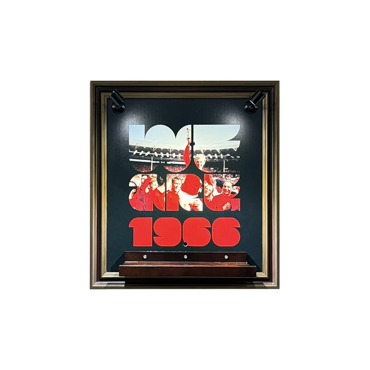 Wall Display Frame for LEGO® FIFA World Cup™ Official Trophy 43020
