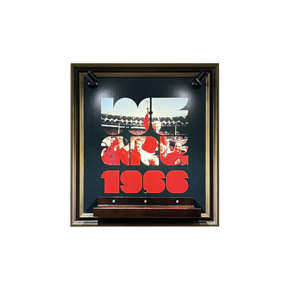 Wall Display Frame for LEGO® FIFA World Cup™ Official Trophy 43020