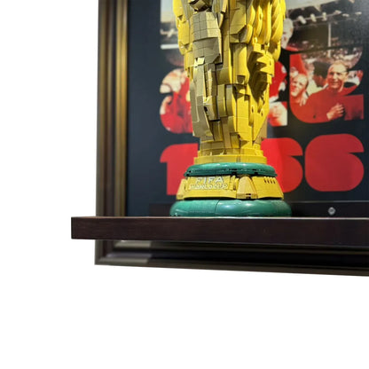 Wall Display Frame for LEGO® FIFA World Cup™ Official Trophy 43020