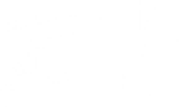 brickzonehub