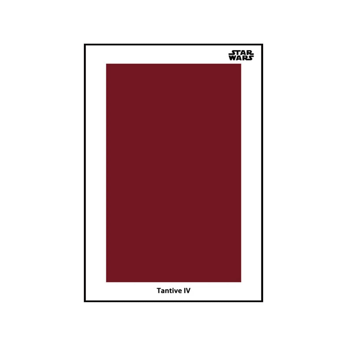 Wall Display Frame Compatible with LEGO® Star Wars™ Tantive IV™ 75244 Style A - brickzonehub